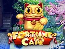 Fortune Cat. 